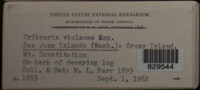 Image Associated With the Occurence